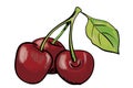 Handdrawn red cherry