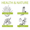 Handdrawn Set - Health and Nature. Collection of