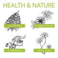 Handdrawn Set - Health and Nature. Collection of