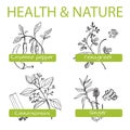 Handdrawn Set - Health and Nature. Collection of