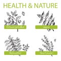 Handdrawn Set - Health and Nature. Collection of