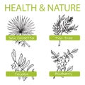 Handdrawn Set - Health and Nature. Collection of