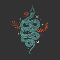 Handdrawn snake. Isolated tropical reptile modern abstract art. Vector