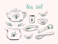 Handdrawn tea ceremony supplies vector teawear: teapot, cups