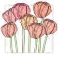 Handdrawn tulip card. Pastel tender colors, delicate frame. Vector illustration