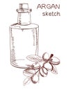 Handdrawn VECTOR argan, oil bottle outline sketch.