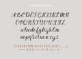 Handdrawn Vector Script font. Brush style textured calligraphy cursive typeface.