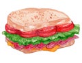 BLT Sandwich Watercolor Illustration