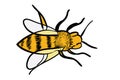 Handdrawn yellow bee