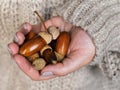 A handful of acorns in the hands of girls