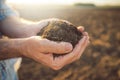 Handful of arable soil in hands of responsible farmer Royalty Free Stock Photo
