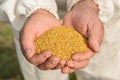 Handful of bee pollen. vitamins and minerals. Royalty Free Stock Photo