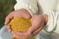 Handful of bee pollen. vitamins and minerals. Royalty Free Stock Photo