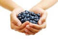 Handful of Blueberries Royalty Free Stock Photo