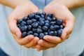 Handful of Blueberries Royalty Free Stock Photo