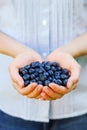 Handful of Blueberries