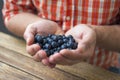 Handful of blueberries Royalty Free Stock Photo