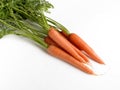 A handful of carrots with their respective branches and leaves Royalty Free Stock Photo