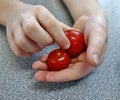 A Handful of Cherry Tomatoes. Royalty Free Stock Photo