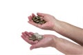 A handful of coins in the hands of an elderly woman