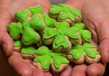Handful of cookies clover leaf green mastic in hands close-up treats feast Saint Patrick