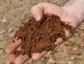 Handful of Dirt in Man's Hand