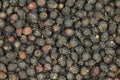 A handful of dried berries of black hawthorn