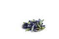 Handful of dried butterfly pea flowers on white. Blue flower for tea Royalty Free Stock Photo