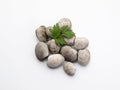 Handful of fresh clams with a sprig of parsley top view