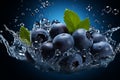 A handful of fresh ripe blueberries and green leaves in splashes of water on a dark blue background. Royalty Free Stock Photo