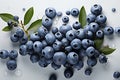 A handful of fresh ripe blueberries with green leaves in water drops. Isolated on white background. Royalty Free Stock Photo