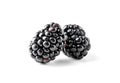 handful of fresh tasty blackberries isolated on white Royalty Free Stock Photo