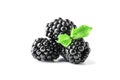 handful of fresh tasty blackberries isolated on white Royalty Free Stock Photo