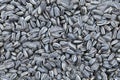 Heap of fried sunflower seeds, texture for background.