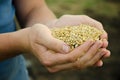 A handful of grains