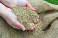 A handful of grass seed