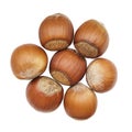 Handful of hazelnuts isolated on white background. Hazelnuts laid out in the shape of a flower