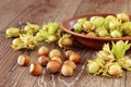 The handful of hazelnuts Royalty Free Stock Photo