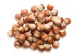 A handful of hazelnuts