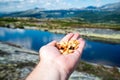 A handful of healthy nuts, raisins and dried fruit outdoors in the wilderness