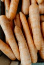 A handful of organic carrots