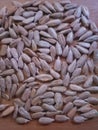 handful of peeled sunflower seeds on a wooden table close-up low lighting nature plant seed food