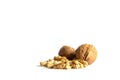 A handful of peeled walnuts and two whole walnuts out of focus in the background lie on a white background. Copy space