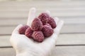 Handful raspberry fruit