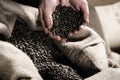Handful of raw coffeebeans Royalty Free Stock Photo