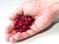 A handful of red cranberries