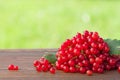 Handful of red currant berries on a brown wooden table