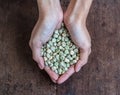 Handful of rich sugar pea seeds