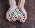 Handful of rich sugar pea seeds