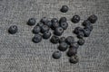 Handful of ripe blueberries on gray-dyed